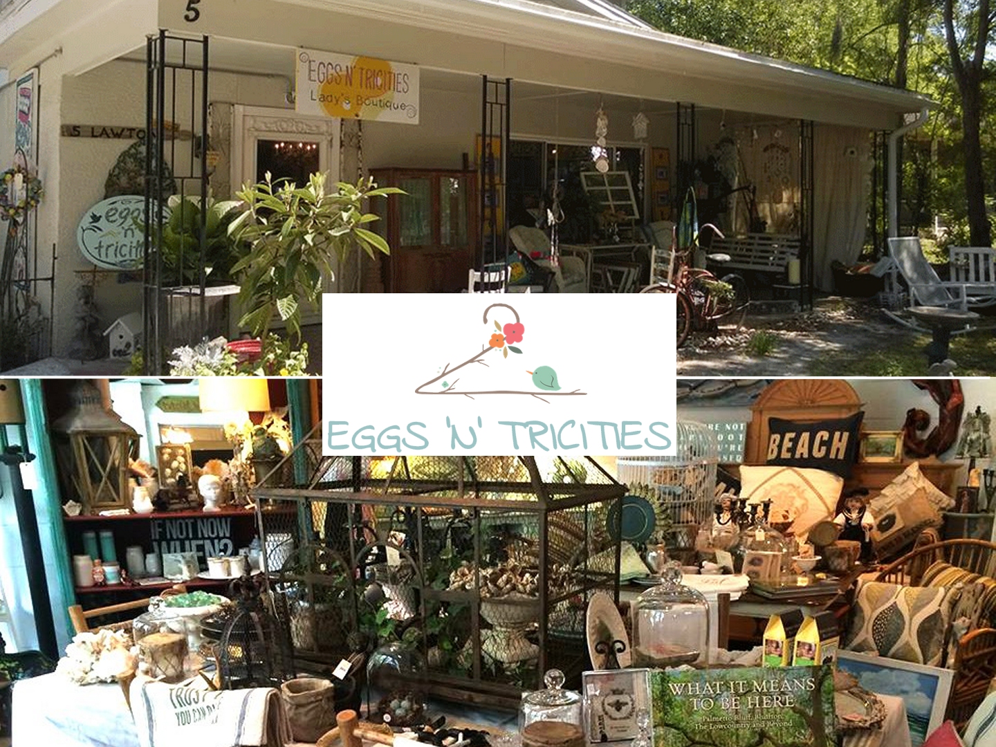 Bargain Box Hilton Head 360