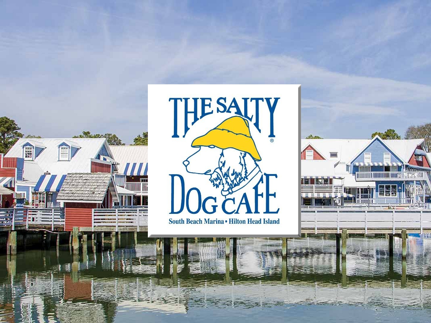 The Salty Dog Cafe - departureidea