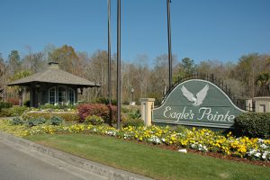 Eagle's Pointe real estate