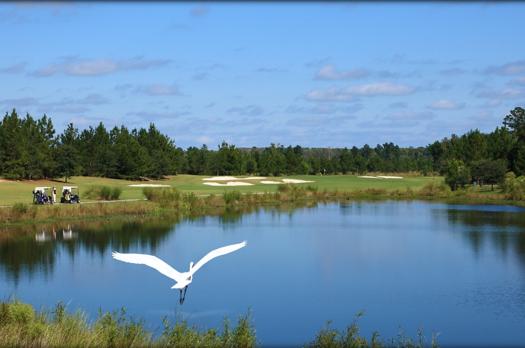 Real Estate Listings and Communities Hilton Head 360