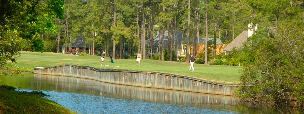 Long Cove Club real estate