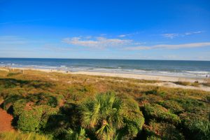 Palmetto Dunes real estate