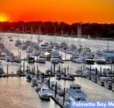 Palmetto Bay Marina